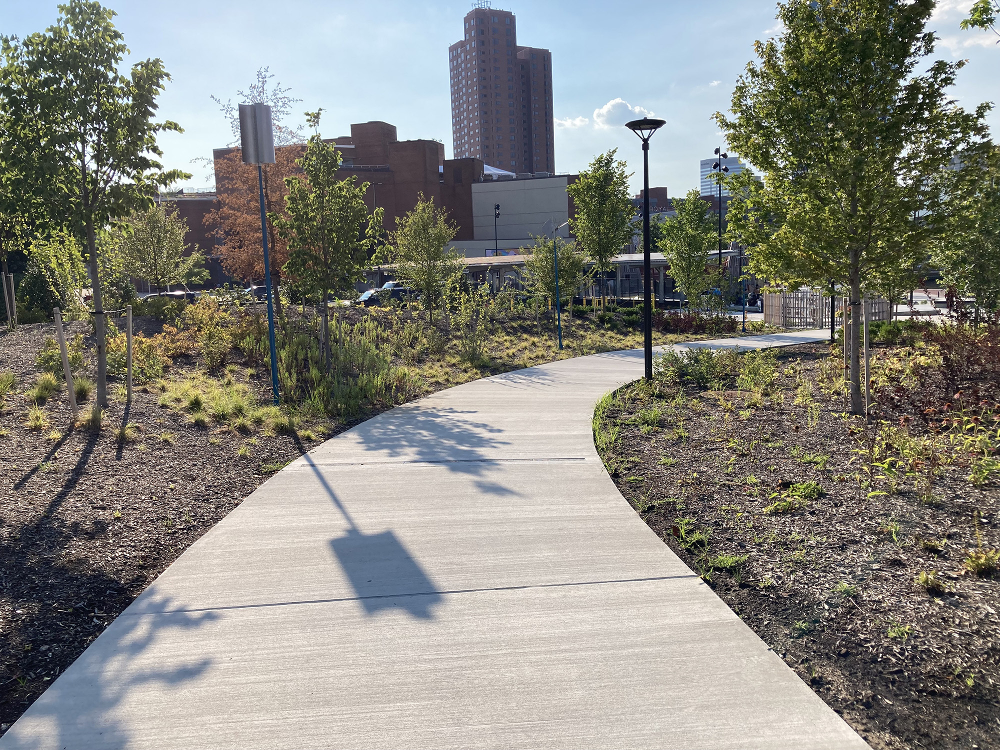 Shared User Path Ramp BBR Comment 1 Survey 1